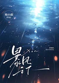 暴风之眼led大灯