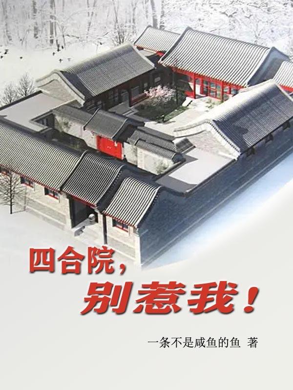 四合院别惹我 小说