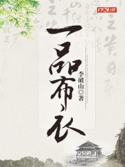 一品布衣60-100集免费看
