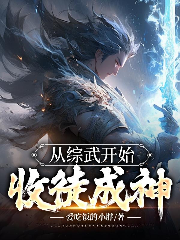 从武徒到武神系列小说