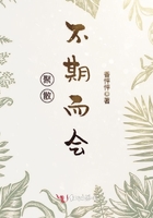 聚散不由人的文案