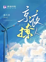 京夜回信小说免费阅读