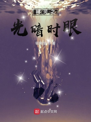 精灵之光飞行器可以升级吗