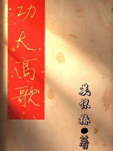 功大于过辩词完整版