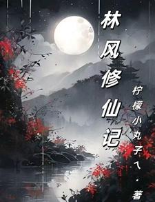 林风修仙记一口气看完