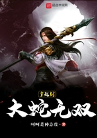 大蛇无双小说